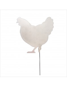 une poule qui picore ... picoti picota 2