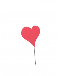 un petit coeur pour un amour immense 2