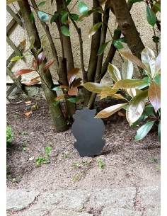 Cactus boule avec pot en... 2