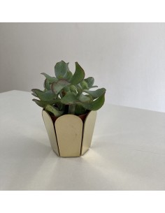 Petit cache-pot en laiton...