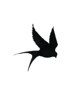 Décoration murale...