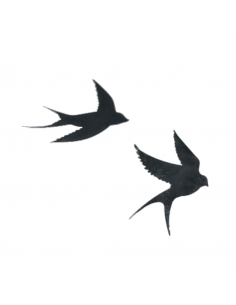 Ensemble de 2 hirondelles...