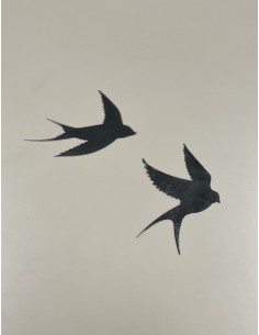 Ensemble de 2 hirondelles... 2