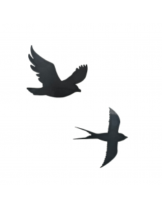 Ensemble de 2 hirondelles...