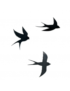 Ensemble de 3 hirondelles...