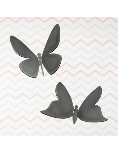 Ensemble de 2 papillons (P4 + P5)